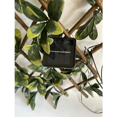 Siepe Artificiale Pitosforo, Grigliato Estensibile UVR 100x200 Cm, 120 Led Ad Energia Solare - immagine 4