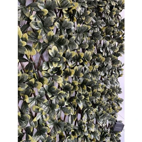 Siepe Artificiale Pitosforo, Grigliato Estensibile UVR 100x200 Cm, 120 Led Ad Energia Solare - immagine 5