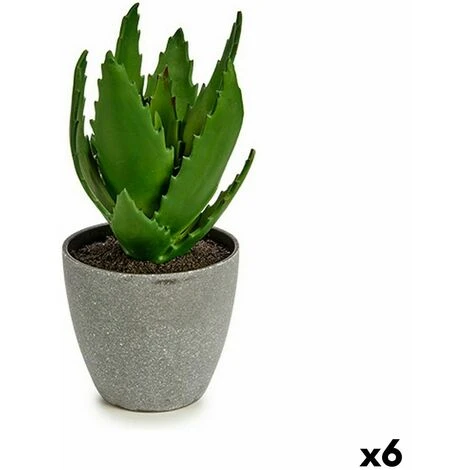 Pianta Decorativa Aloe Vera 14 X 21 X 14 Cm Grigio Verde Plastica (6 Unità)