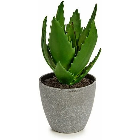 Pianta Decorativa Aloe Vera 14 X 21 X 14 Cm Grigio Verde Plastica (6 Unità) - immagine 2