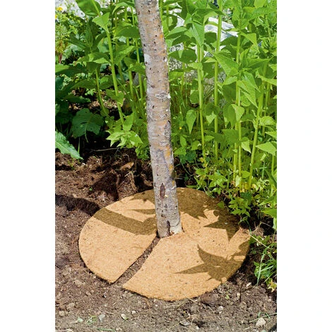 DISCO PACCIAMATURA IN FIBRA DI COCCO Ø25 CM 3 PZ - immagine 2