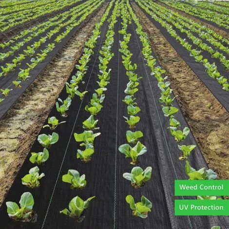 Telo Pacciamatura Antiradice M 4,20x10 - immagine 5