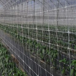 RETE PER RAMPICANTI Cm.170 H. Rotolo Da Mt. 50 MAGLIA CM 15 X 17 FERR 180153