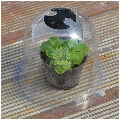 Campana Di Protezione Per Piante E Fiori Diametro Ø Cm 20 X H 17 Verdemax - immagine 2