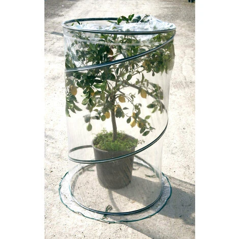 Pop-up Citrus Cm 90xh150