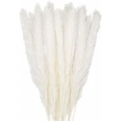 SOEKAVIA 30 Pz. Erba Di Pampa, 45 Cm Bouquet Di Fiori Secchi Di Pampa Naturale Per Vasi, Decorazione Boho Bianca Camera Da Letto Soggiorno Principale, Fotografia Di Matrimonio Decorazione Da Tavola