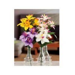 BOUQUET ORCHIDEE 5FIOR ASS4COL CM37