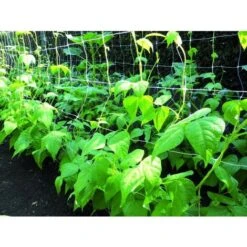 Rete Sostegno Per Ortaggi Piante Rampicanti E Fiori Colore Bianco 1,2x30 Mt Confine