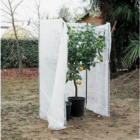 Telo Di Copertura Antigelo Per Protezione Di Piante, Coltivazioni, Orto In TNT - 2,4x10 Metri - immagine 2