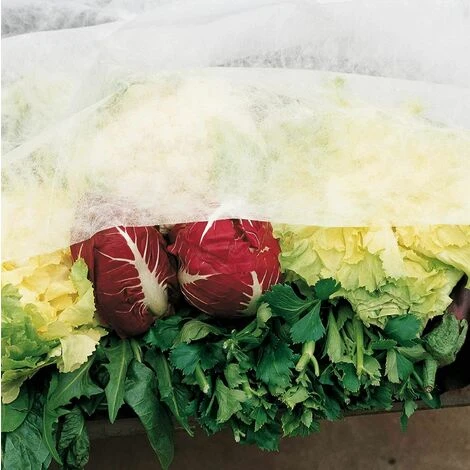 Telo Di Copertura Antigelo Per Protezione Di Piante, Coltivazioni, Orto In TNT - 2,4x10 Metri - immagine 3