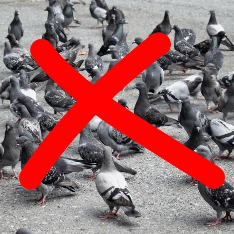 4x Cornacchia Spaventapasseri, Allontana Piccioni E Gufi, Corvo Volante Per Il Giardino, Statua Decorativa, Nero - immagine 5