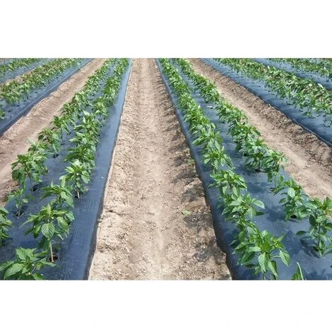 TELO FILM PACCIAMATURA BOBINA DA 100 M CHIUSA NON FORATO LARG. 90 Cm - immagine 2