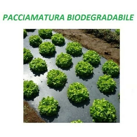 TELO BIO FILM PACCIAMATURA BIODEGRADABILE BOBINA DA 100 M NON FORATO LARG. 100 Cm - immagine 2