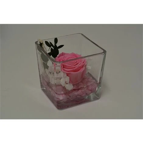 Cubo Fondo Pietra Con Rosa Baccara Cm 10x10 - Rosa