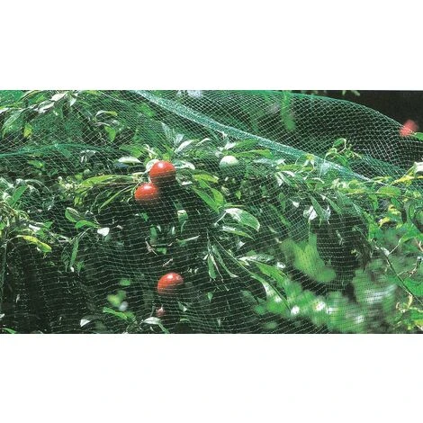 RETE DI PROTEZIONE ANTIUCCELLI H2 X10MT. PZ 1