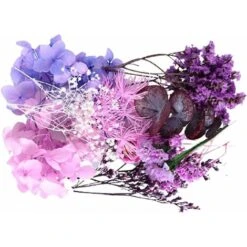 HIASDFLS Set Di Fiori Secchi, 1 Set Pressato, Naturale, Margherita Essiccata, Naturale, Molte Varietà, Per La Decorazione Di Biglietti Di Auguri, Custodie Per Cellulari
