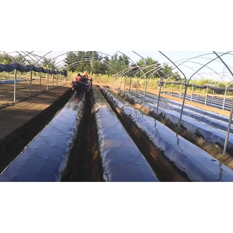 TELO PACCIAMATURA 110CM X 250 METRI NO FORI FILM POLIETILENE ANTI ERBA PER ORTO - immagine 2