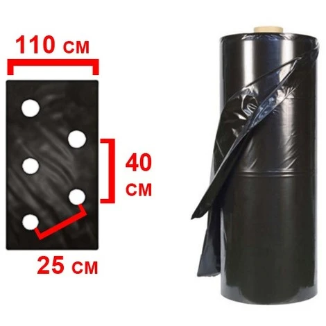 TELO PACCIAMATURA 110CM X 50 M 2 FORI SFALSATO 25-40 FILM POLIETILENE ANTI ERBA - immagine 3