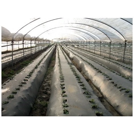 TELO PACCIAMATURA 130CM X 50 METRI FORI DOPPI 40 CM FILM POLIETILENE ANTI ERBA ORTO - immagine 2