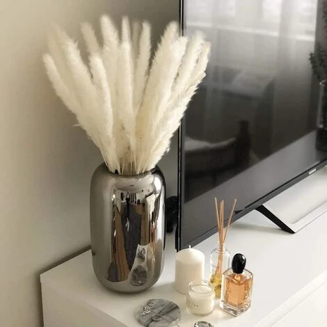 MINKUROW 30 Pz Erba Di Pampa, Erba Di Pampa Naturale Erba Di Pampa Essiccata Erba Phragmites Mazzo Di Fiori Secchi Decorazione Della Casa - immagine 2