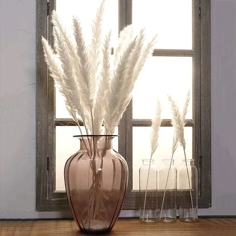 MINKUROW 30 Pz Erba Di Pampa, Erba Di Pampa Naturale Erba Di Pampa Essiccata Erba Phragmites Mazzo Di Fiori Secchi Decorazione Della Casa - immagine 4