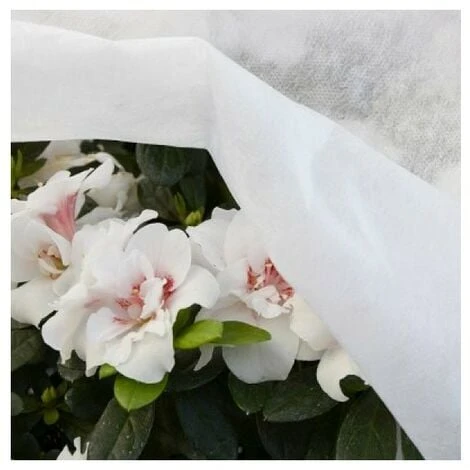 Copertura TNT Velo Bianco 3,2 Mtx10 GR 17 Verdelook - immagine 2