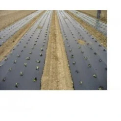 Filnova Telo Biodegradabile 100 Metri X 1 Metro Per Pacciamatura