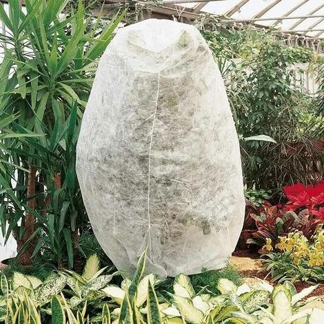 Telo ANTIGELO Per Piante In TNT Protettivo - 2x10 Metri - immagine 3