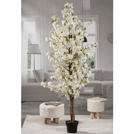 Star PIANTA CILIEGIO VASO X DEC BIANCO D20XH200