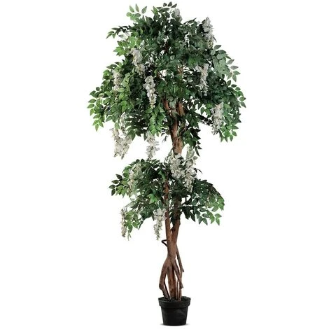 Star GLICINE IN VASO BIANCO X DEC. DM.80X185