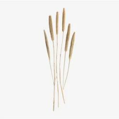 SKLUM Bouquet Decorativo Koty Beige Crema