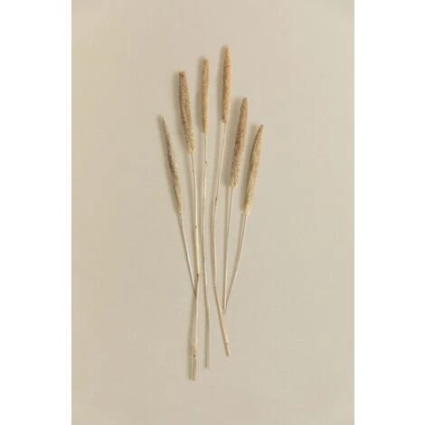 SKLUM Bouquet Decorativo Koty Beige Crema - immagine 3