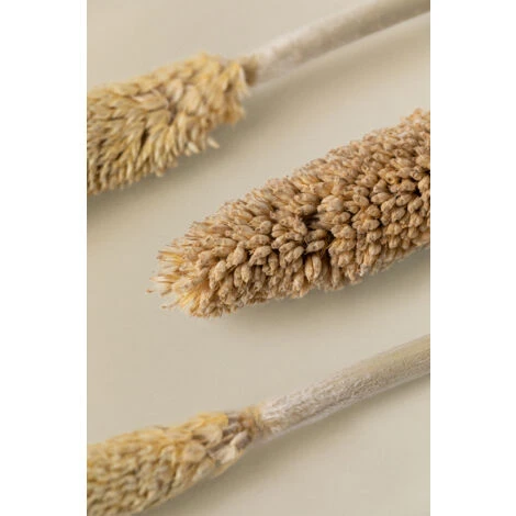 SKLUM Bouquet Decorativo Koty Beige Crema - immagine 4