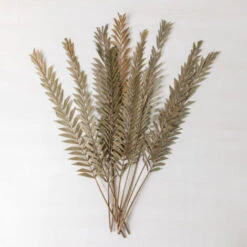 SKLUM Confezione Da 10 Rami Secchi Decorativi Sarat Verde Bambù