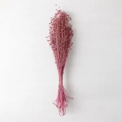 SKLUM Mazzo Di Fiori Secchi Decorativi Bairad Prugna Rosa