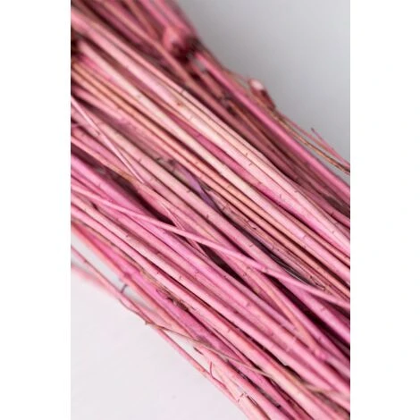 SKLUM Mazzo Di Fiori Secchi Decorativi Bairad Prugna Rosa - immagine 4