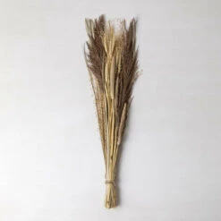 SKLUM Mazzo Di Fiori Secchi Grostic Colori Naturali