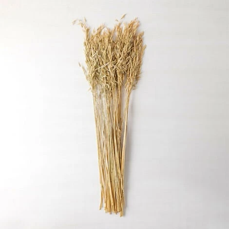 SKLUM Ramo Decorativo Di Jayra Beige Crema