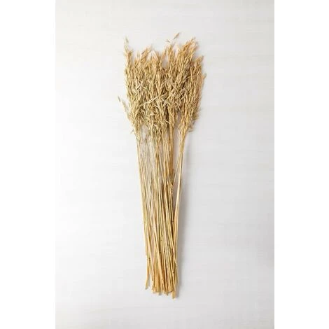 SKLUM Ramo Decorativo Di Jayra Beige Crema - immagine 3