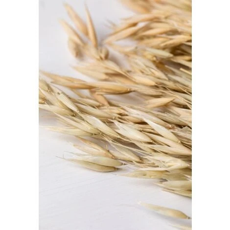 SKLUM Ramo Decorativo Di Jayra Beige Crema - immagine 4