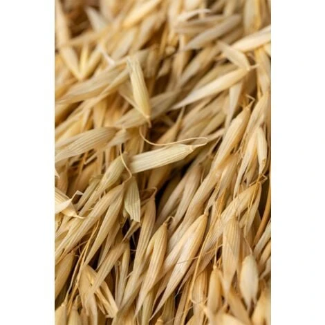 SKLUM Ramo Decorativo Di Jayra Beige Crema - immagine 5