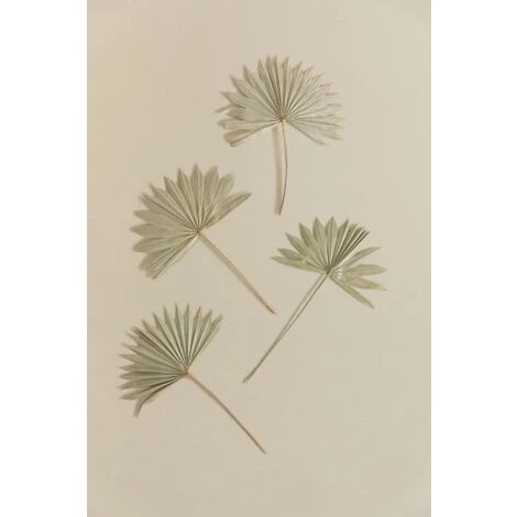 SKLUM Confezione Da 4 Rami Secchi Decorativi Urpek Verde Bambù - immagine 3