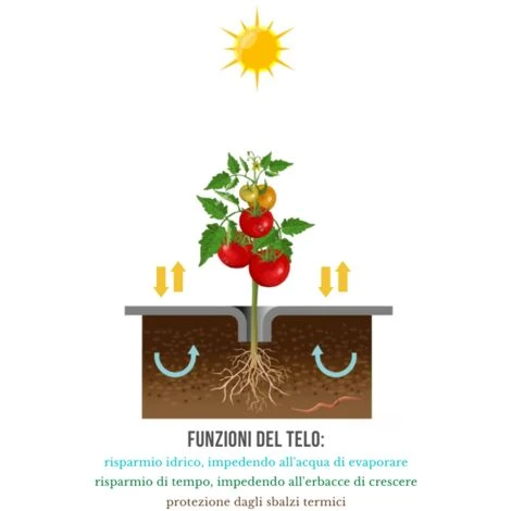 TELO BIO FILM PACCIAMATURA BIODEGRADABILE BOBINA DA 1000 M NON FORATO LARG. 1 METRO PER ORTO E GIARDINO - immagine 2