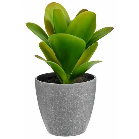 Pianta Decorativa Plastica (6 Unità ) (11 X 20 X 11 Cm) - immagine 2