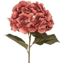 Stelo Ortensia Prugna Zingara H 83 - Atmosphera Créateur D'intérieur