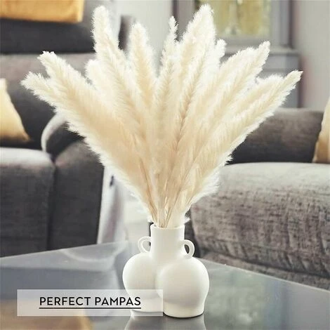 Set Di 15 Erba Di Pampas Essiccata, Decorazione Per Vaso Di Fiori Secchi Artificiali Da 43 Cm, Decorazione Di Erba Di Pampas E Fiori Secchi, Erba Di Pampas Naturale, Erba Di Pampas Essiccata, Canne Es - immagine 2