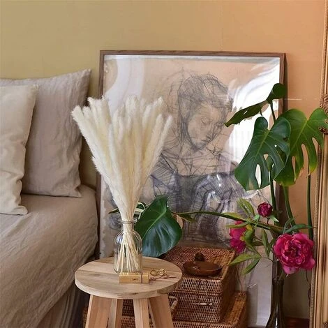 Set Di 15 Erba Di Pampas Essiccata, Decorazione Per Vaso Di Fiori Secchi Artificiali Da 43 Cm, Decorazione Di Erba Di Pampas E Fiori Secchi, Erba Di Pampas Naturale, Erba Di Pampas Essiccata, Canne Es - immagine 3