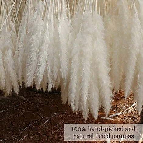 Set Di 15 Erba Di Pampas Essiccata, Decorazione Per Vaso Di Fiori Secchi Artificiali Da 43 Cm, Decorazione Di Erba Di Pampas E Fiori Secchi, Erba Di Pampas Naturale, Erba Di Pampas Essiccata, Canne Es - immagine 4
