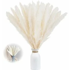 Set Di Erba Di Pampas Essiccata Di 30, 43cm Decorazione Vaso Di Fiori Secchi Artificiali, Decorazione Di Erba Di Pampas E Fiori Secchi, Erba Di Pampas Naturale, Erba Di Pampas Essiccata, Canne Essicca