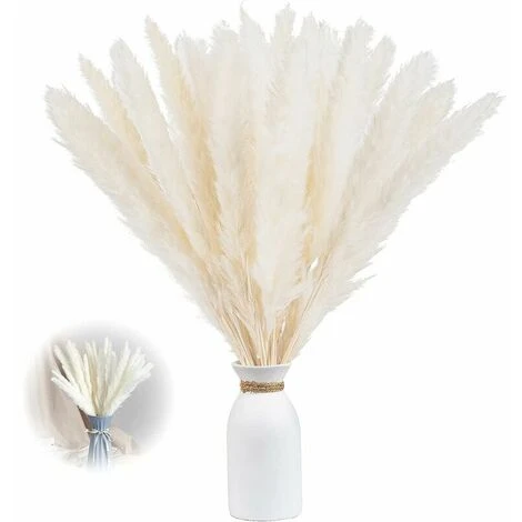 Set Di Erba Di Pampas Essiccata Di 30, 43cm Decorazione Vaso Di Fiori Secchi Artificiali, Decorazione Di Erba Di Pampas E Fiori Secchi, Erba Di Pampas Naturale, Erba Di Pampas Essiccata, Canne Essicca